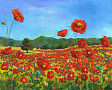 Les Cocgrieligots. Poppies. Click to enlarge.